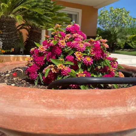 La Romarine ヴィラ *